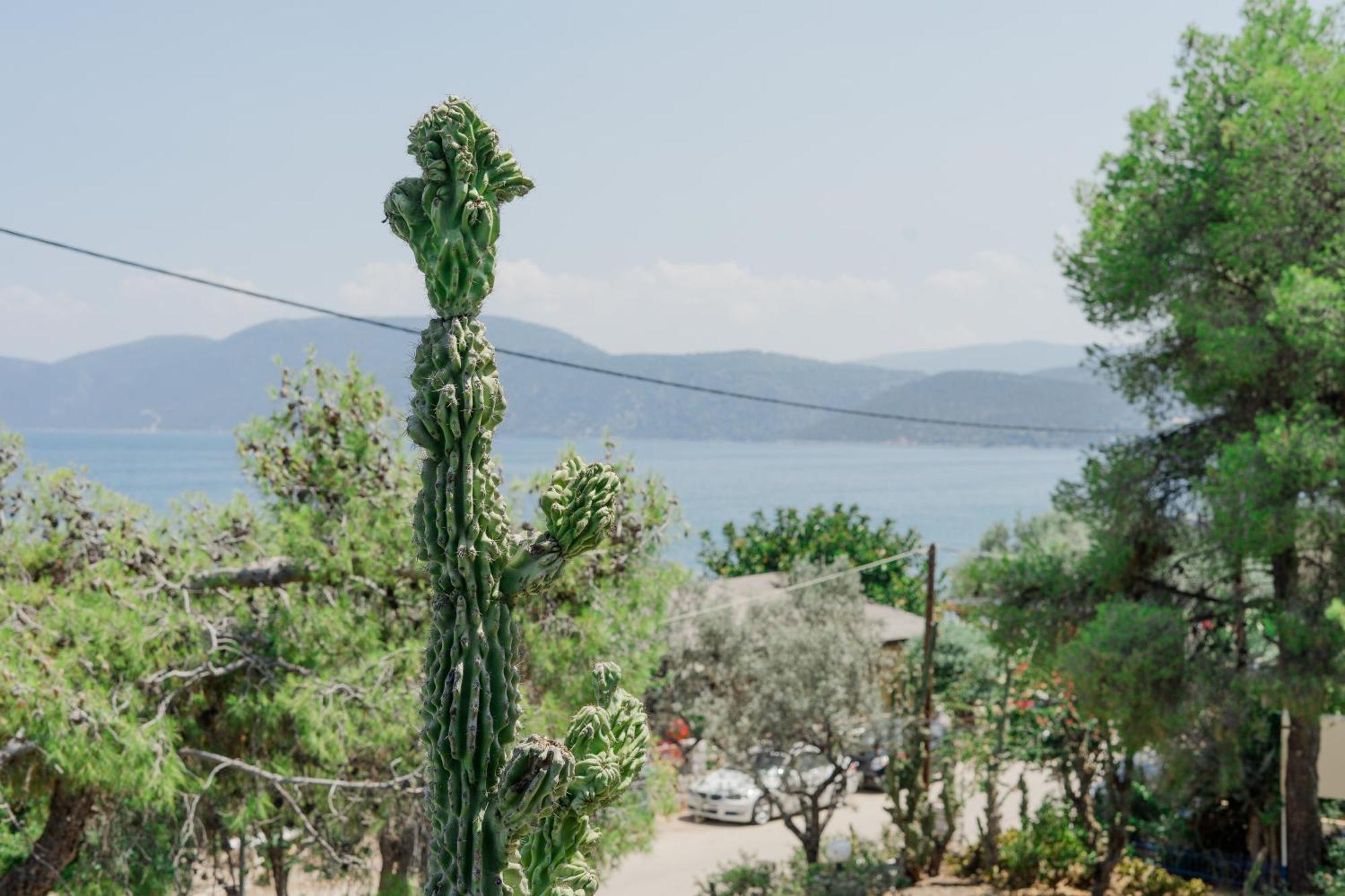 Hotel Korfos - Ξενοδοχείο Κόρφος Renovated Esterno foto